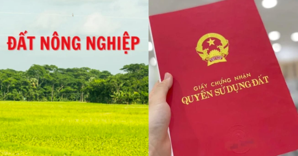 Đất nông nghiệp lên thổ cư – Lưu ý pháp lý